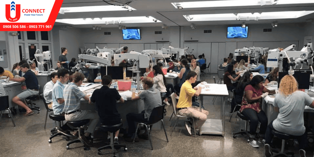 Giới thiệu trường saint louis university, bang Missouri, Mỹ và cơ sở vật chất của đại học SLU